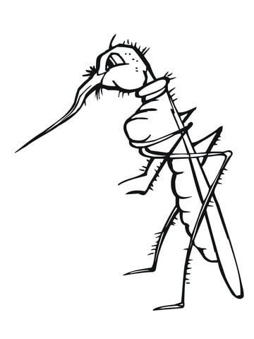 Mosquito With Broken Proboscis Coloring Page